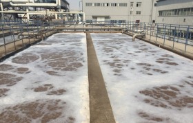 除磷劑是什么藥劑？水里的總磷來自哪里？